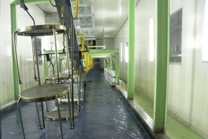 Ed Coating Equipment